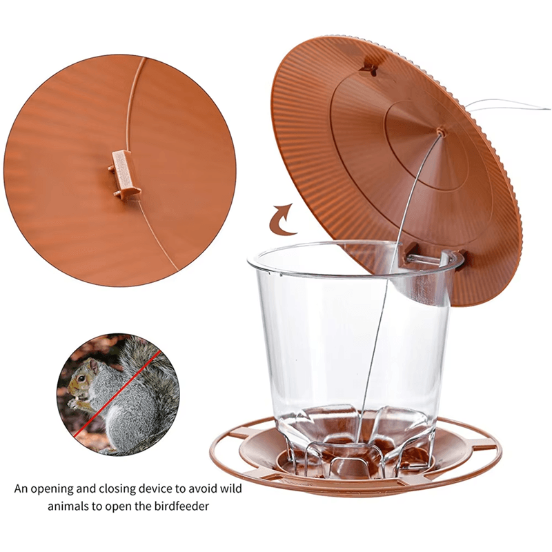 Automatic Hanging Bird Feeder With MultiHole Dispenser 4