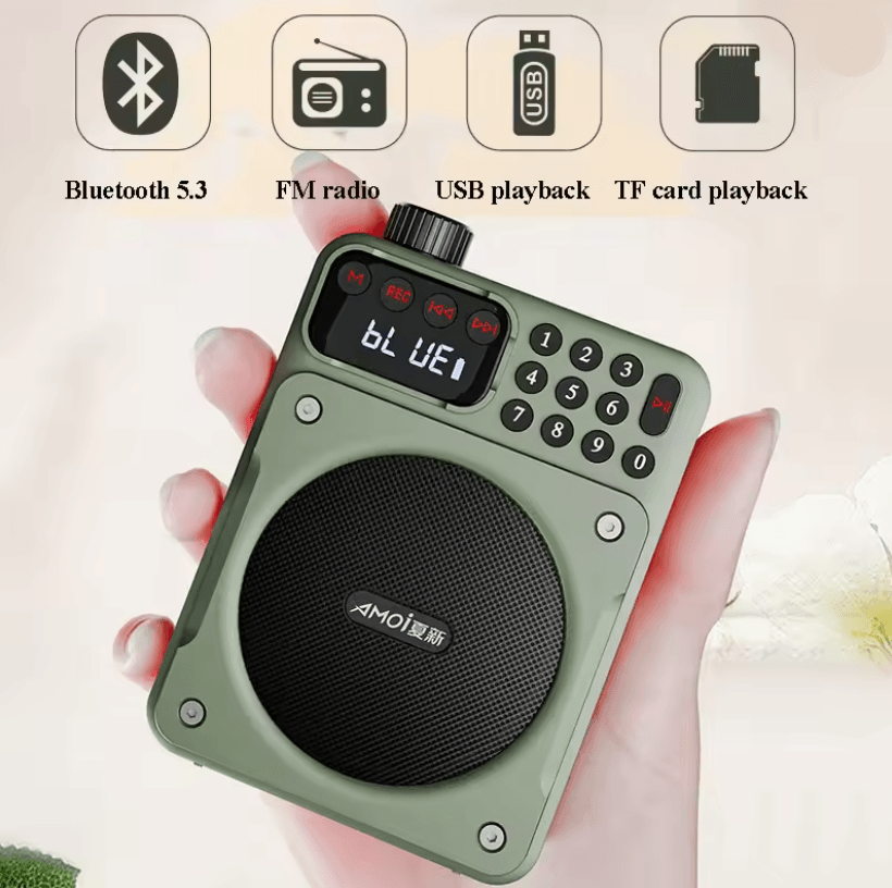 Mini Digital FM Radio Bluetooth Speaker with USB TF Card Display