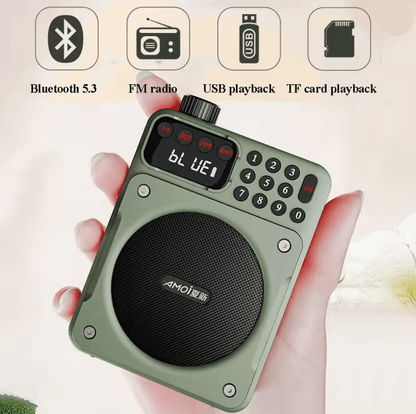 Mini Digital FM Radio Bluetooth Speaker with USB TF Card Display