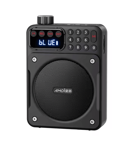 Mini Digital FM Radio Bluetooth Speaker With USB TF Card Display 2