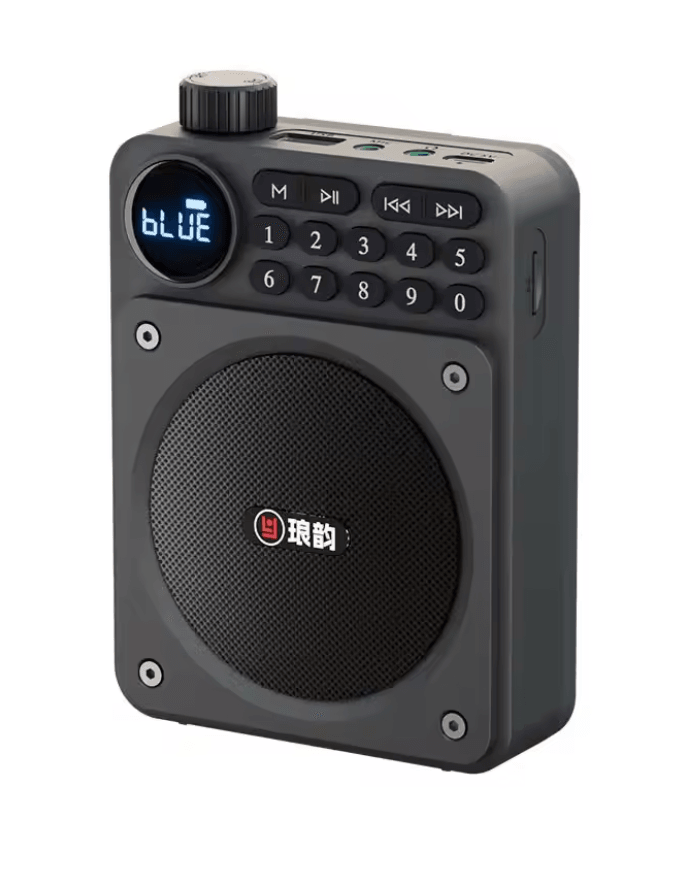 Mini Digital FM Radio Bluetooth Speaker With USB TF Card Display 3