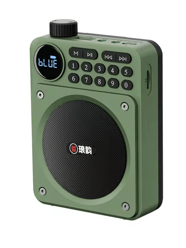 Mini Digital FM Radio Bluetooth Speaker With USB TF Card Display 5