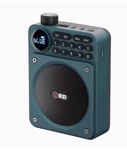 Mini Digital FM Radio Bluetooth Speaker With USB TF Card Display 8