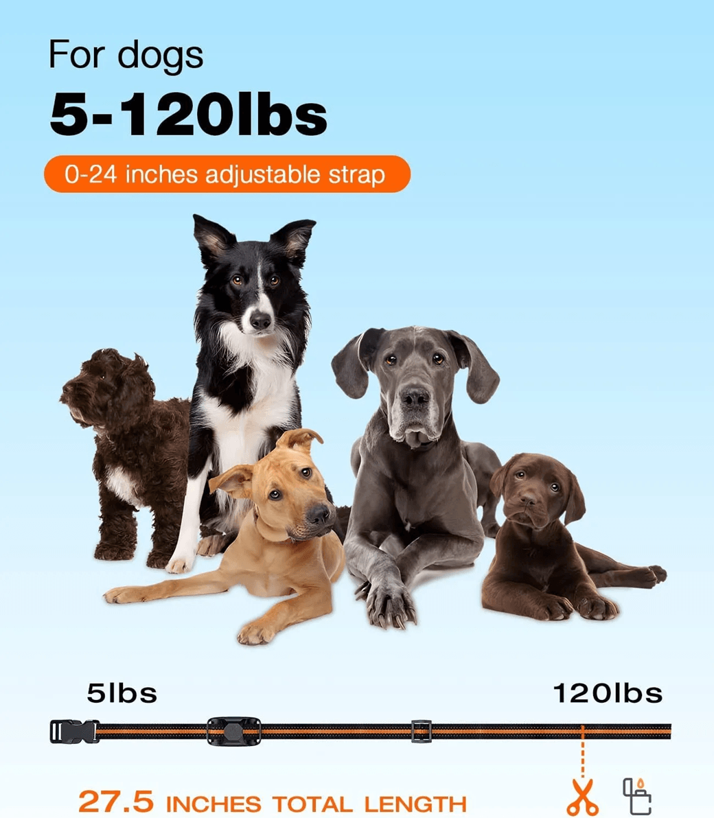1000M Waterproof Training Collar For 2 Dogs With Shock Vibration And Beep Modes 2