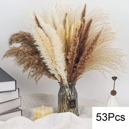 Natural Dried Pampas Grass Bouquet  Boho Vase Decor With Bunny Tails For Weddings  Home Styling 3