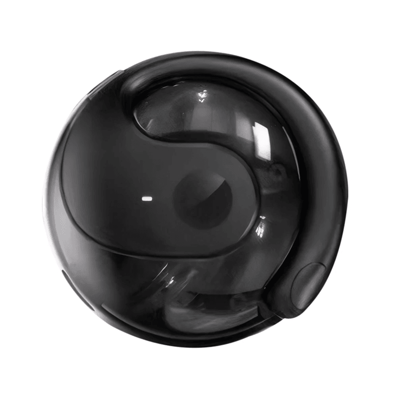 Wireless Translator Earphones Real Time Translator Earbuds Support 144 Languages 4
