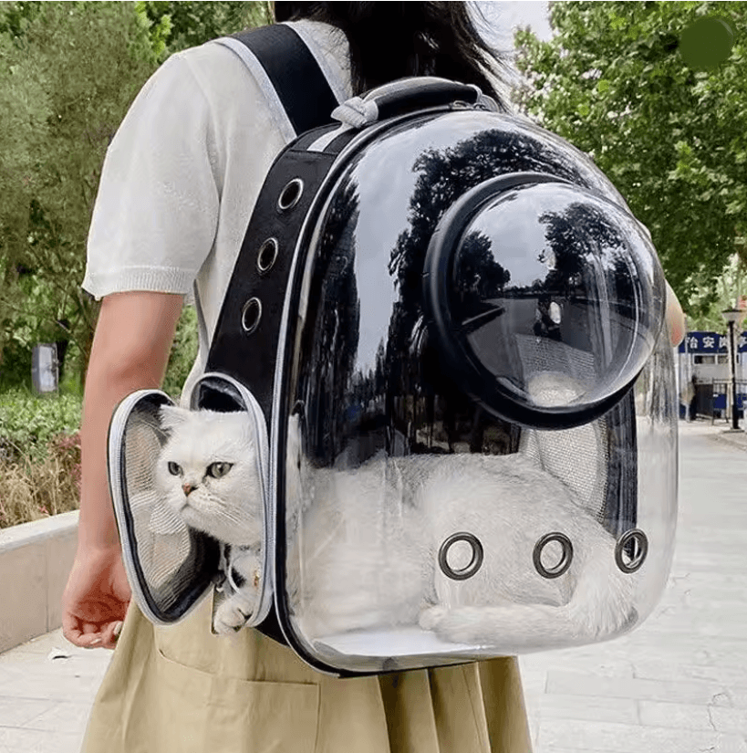 Portable Transparent Pet Backpack Space Capsule Carrier for Cats Dogs