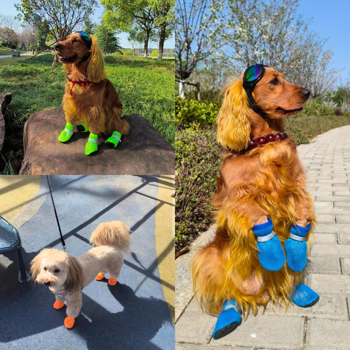 Dog Shoes for Summer, Breathable Anti-Slip Pet Boots, Outdoor Wear-Resistant Dog Booties for Small, Medium Dogs