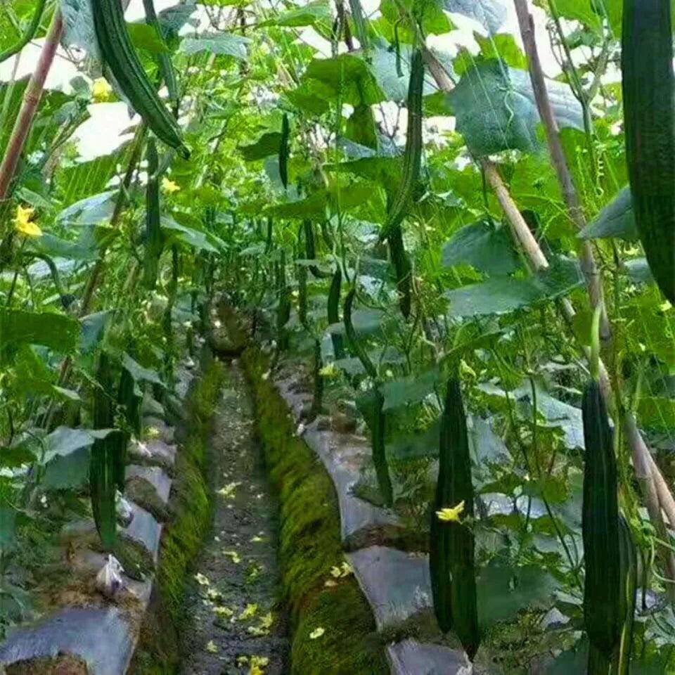 HeavyDuty Garden Climbing Net Trellis Plant Support Stand For Flowers Vegetables  Vine Orchard Gard