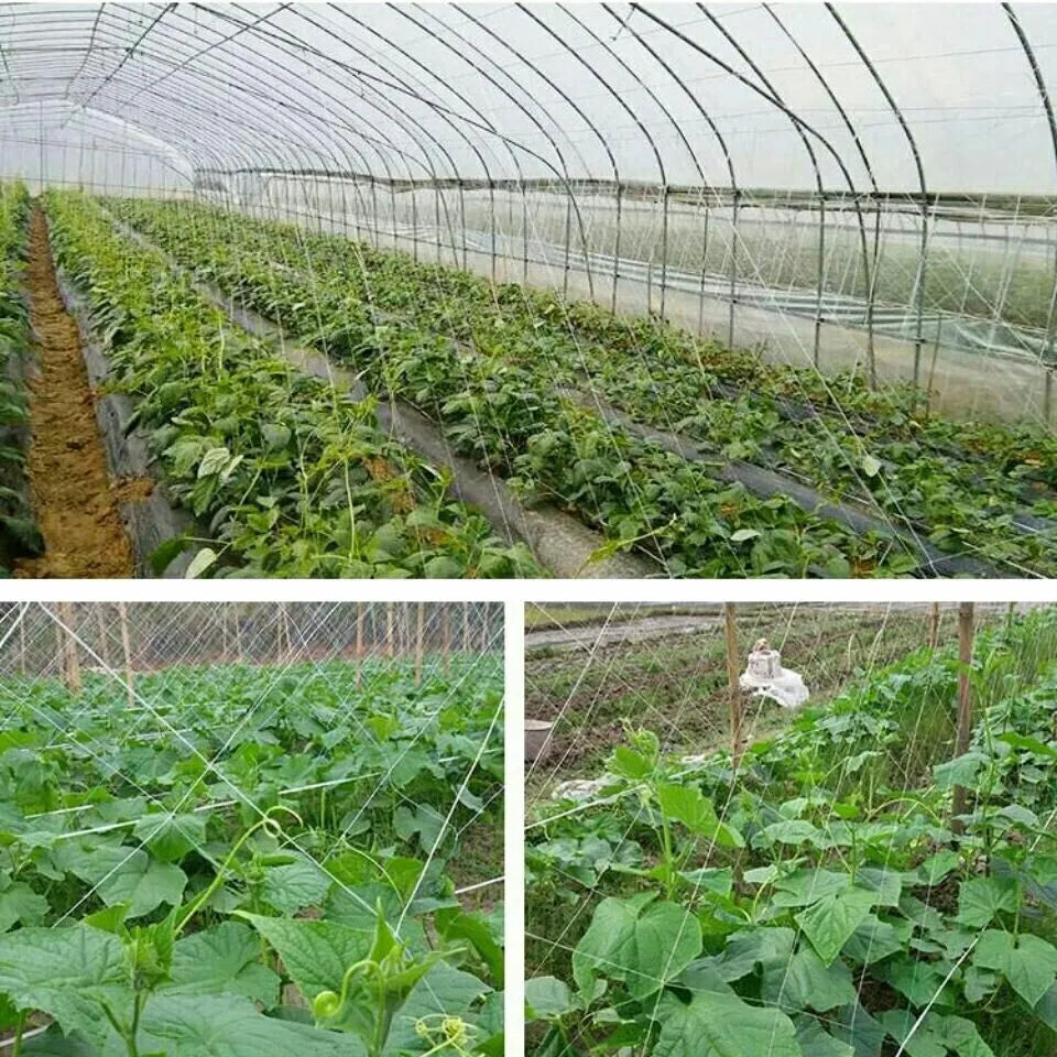 Trellis Netting For Climbing Plants HeavyDuty Garden Support Net For Vegetables Flowers  Vine Orcha 4