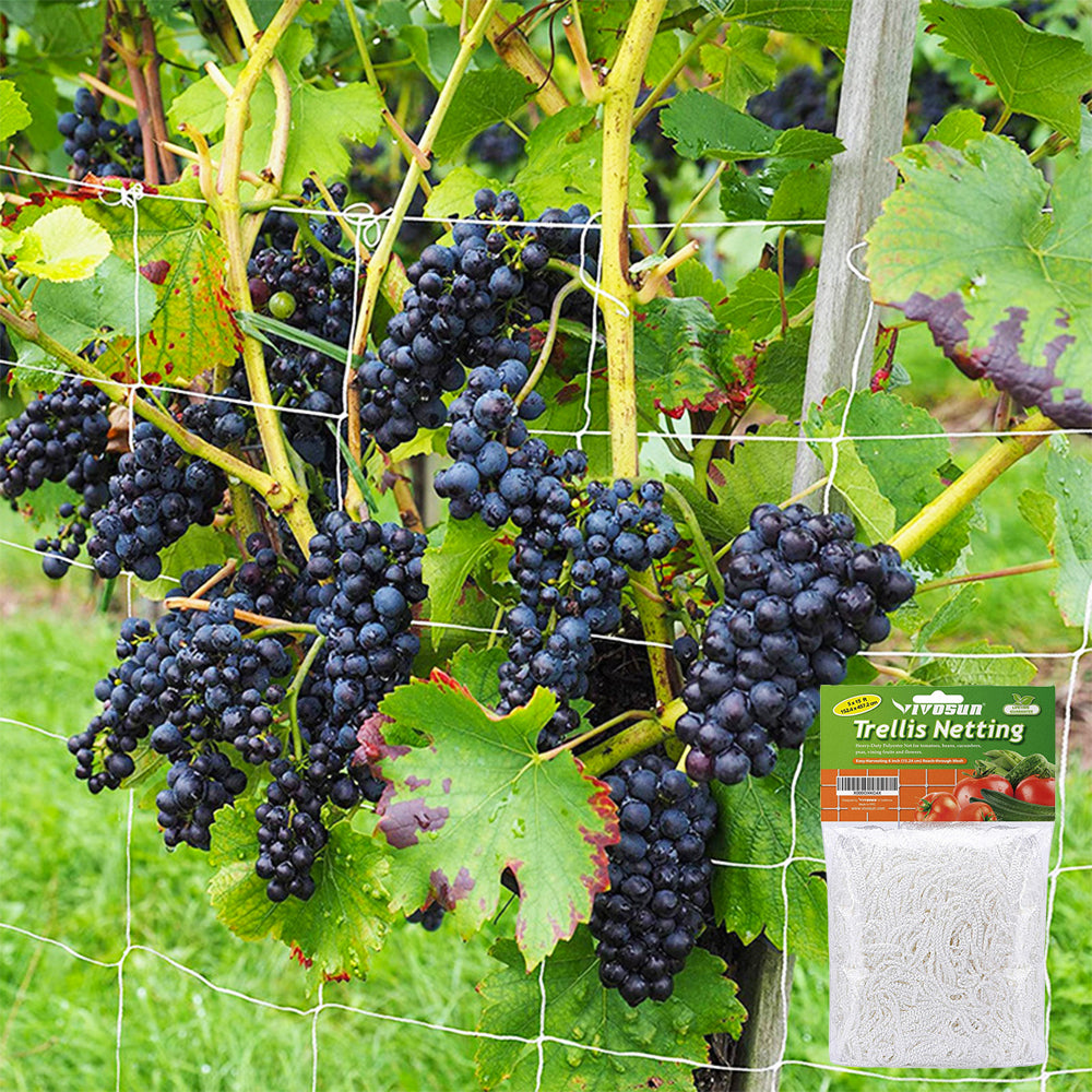 Trellis Netting For Climbing Plants HeavyDuty Garden Support Net For Vegetables Flowers  Vine Orcha 1