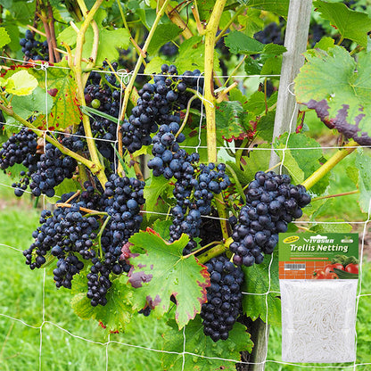Trellis Netting For Climbing Plants HeavyDuty Garden Support Net For Vegetables Flowers  Vine Orcha 1