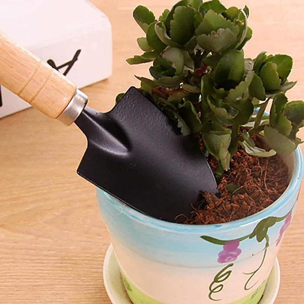 3Piece Mini Garden Tool Set Heavy Duty Small Shovel Trowel  Rake For Flower Pots Cactus Vegetables  2