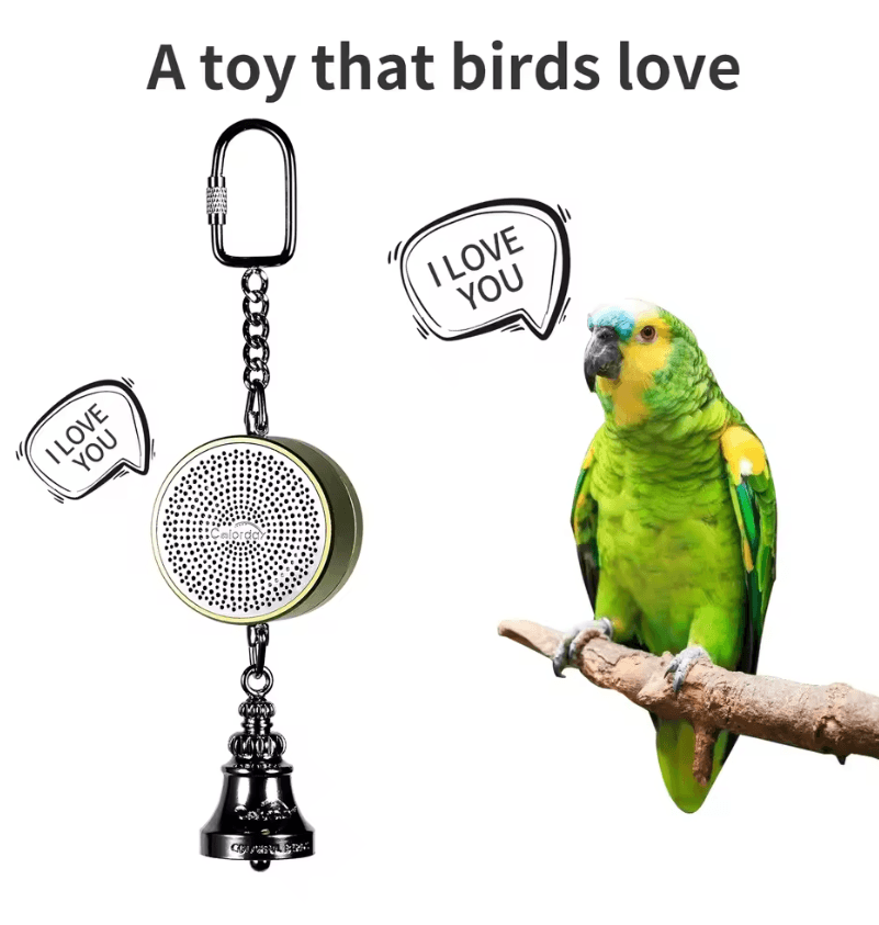 Parrot Talking Coach Interactive Voice Recording Toy With Bell 3