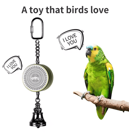 Parrot Talking Coach Interactive Voice Recording Toy With Bell 3
