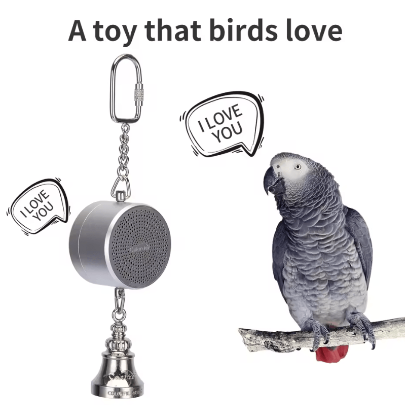 Parrot Talking Coach Interactive Voice Recording Toy With Bell 4