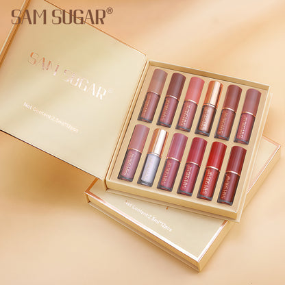 Multicolor Book Lip Gloss Set, Matte Velvet Finish, Long Lasting Waterproof Lip Gloss, Non Stick Formula, Lipstick Kit