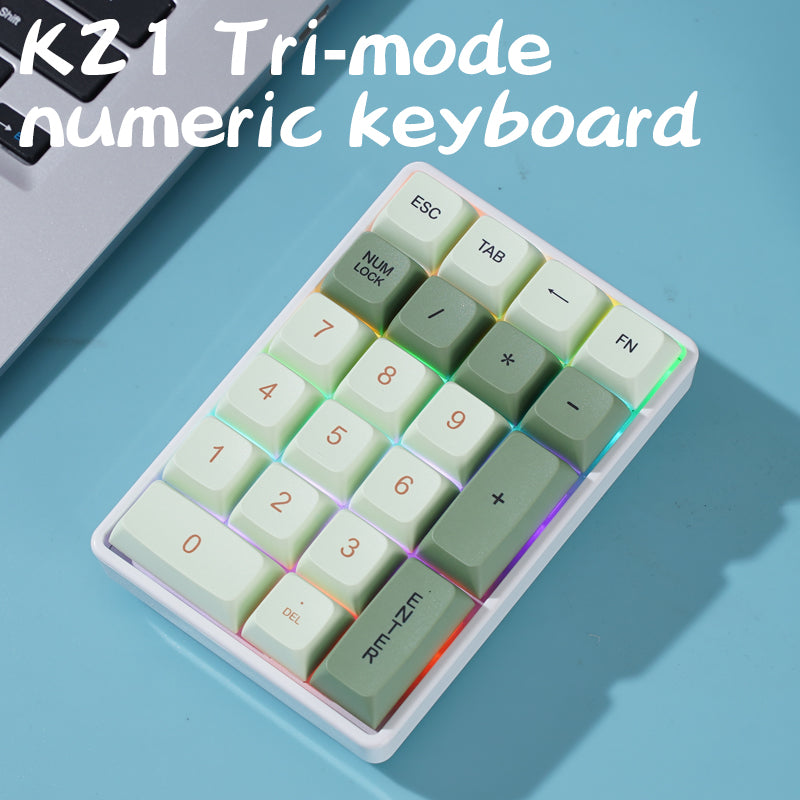 Wireless Numeric Keypad, Tri-mode Bluetooth, Mechanical Hot-Swap 21-Key Mini Keypad for Finance Users