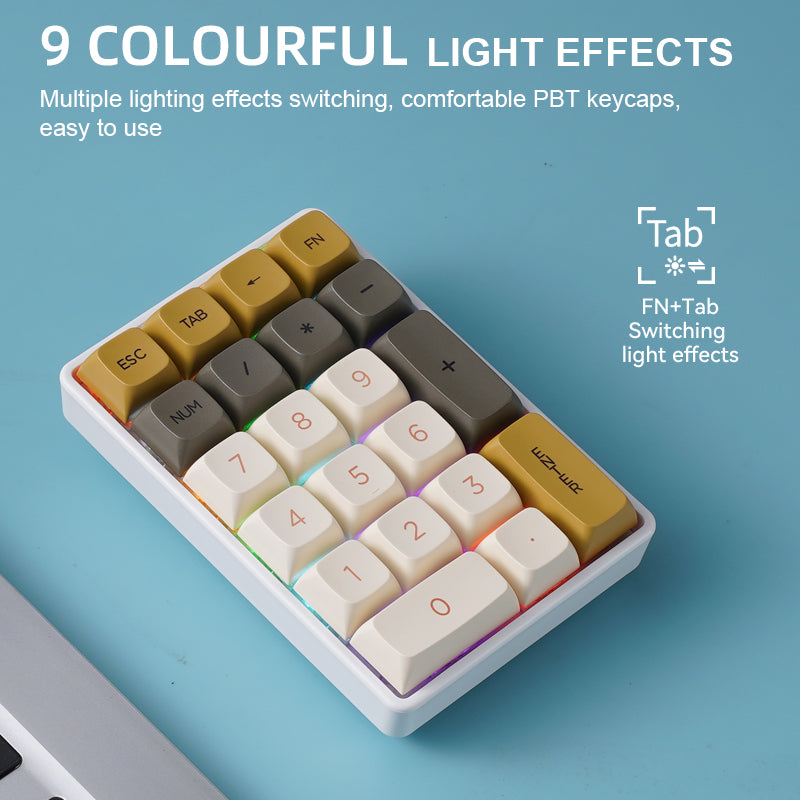 Wireless Numeric Keypad, Tri-mode Bluetooth, Mechanical Hot-Swap 21-Key Mini Keypad for Finance Users