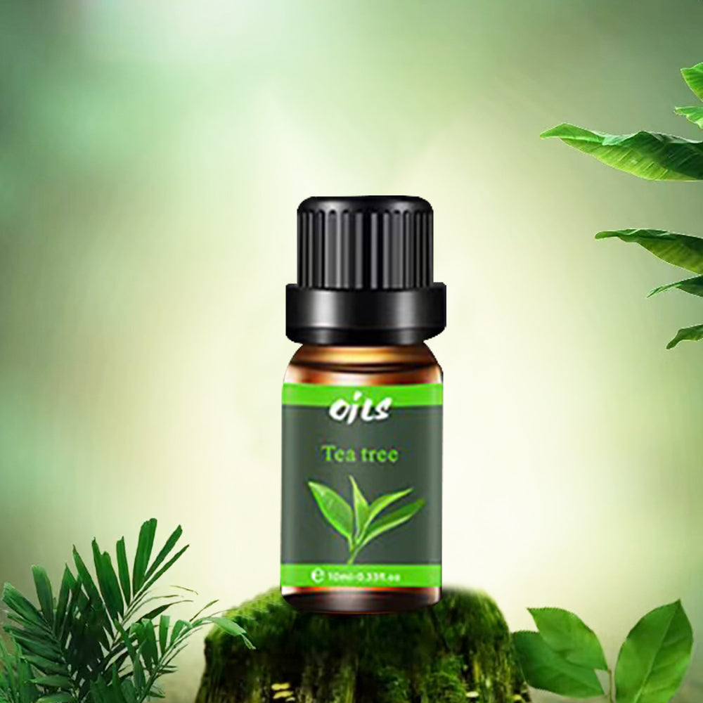 Aromatherapy Gift Set, 6 Natural Essential Oils for Diffusers, Relaxation & Stress Relief