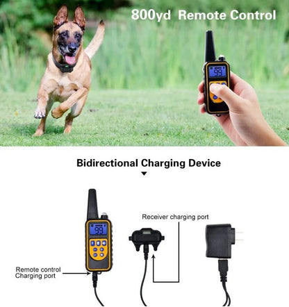 Electric Dog Training Collar With Remote  Waterproof  Rechargeable 2
