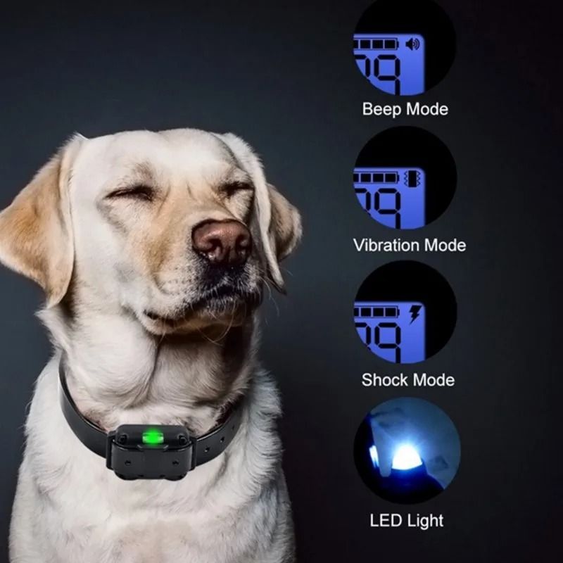 Electric Dog Training Collar With Remote  Waterproof  Rechargeable 6