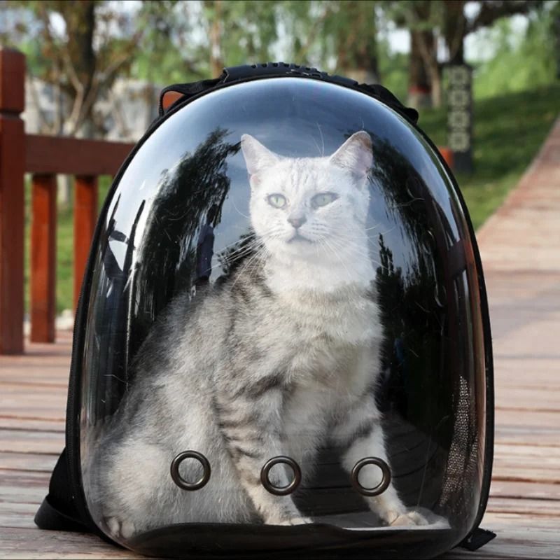 Transparent Bubble Pet Backpack Carrier for Cats and Small Dogs Space Capsule Travel Pack
