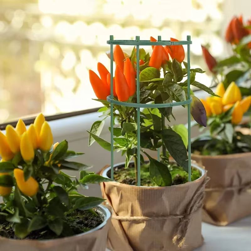 Plastic Garden Plant Support Stake For Flowers And Greenhouse Use 1