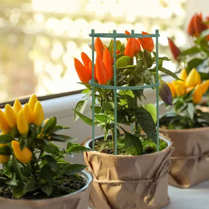 Plastic Garden Plant Support Stake For Flowers And Greenhouse Use 1