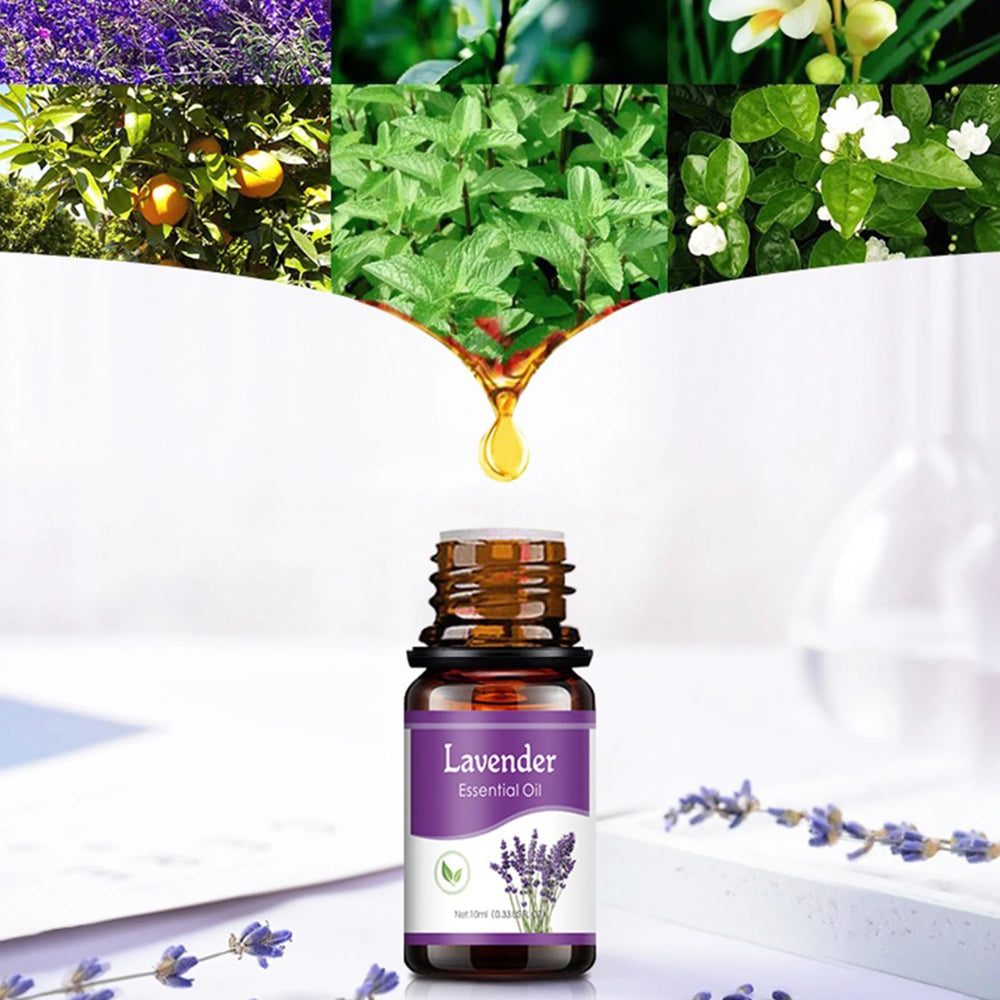 6 Essential Oils Set, Lavender, Rose, Frankincense, Sandalwood, Oud & Plant Extracts for Air Purification & Aromatherapy