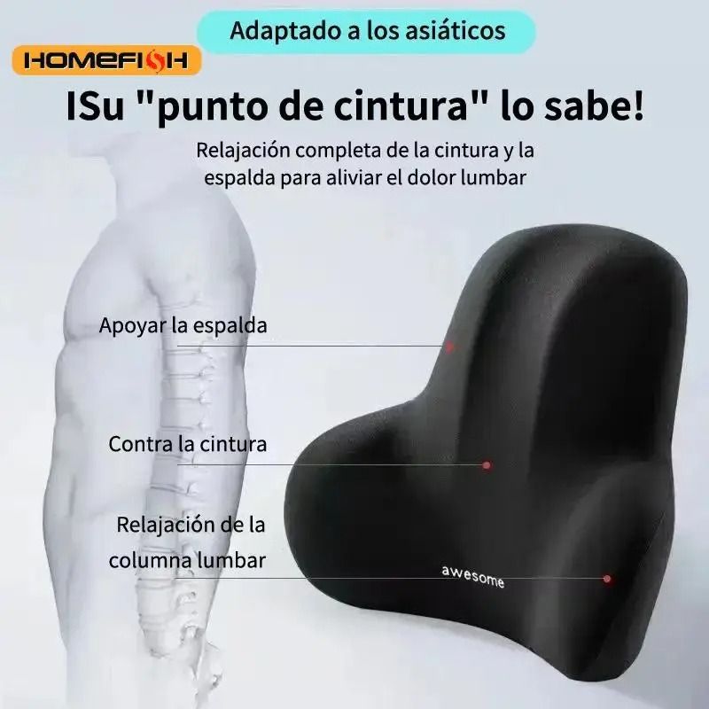 Memory Foam Lumbar Support Cushion for Car Office and Back Relief