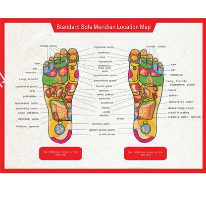 Rechargeable Foot Massage Mat For Circulation Muscle Relief And Slimming 6