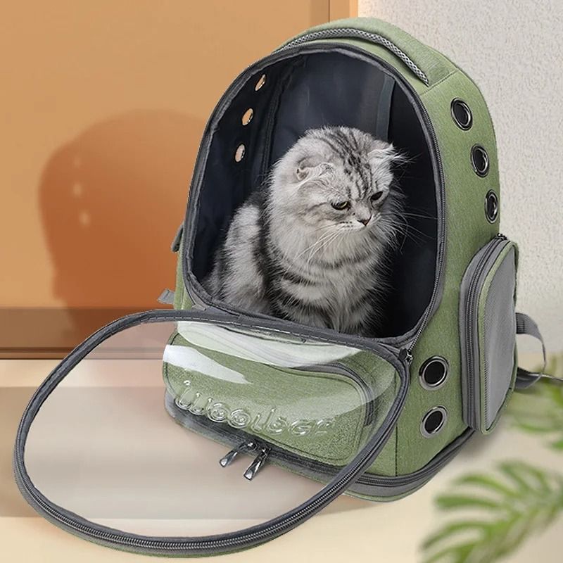 Transparent Pet Carrier Backpack For Cats And Small Dogs 3