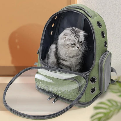 Transparent Pet Carrier Backpack For Cats And Small Dogs 3