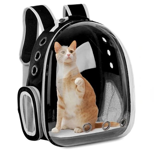 Transparent Pet Backpack Carrier With Optional Cover 7