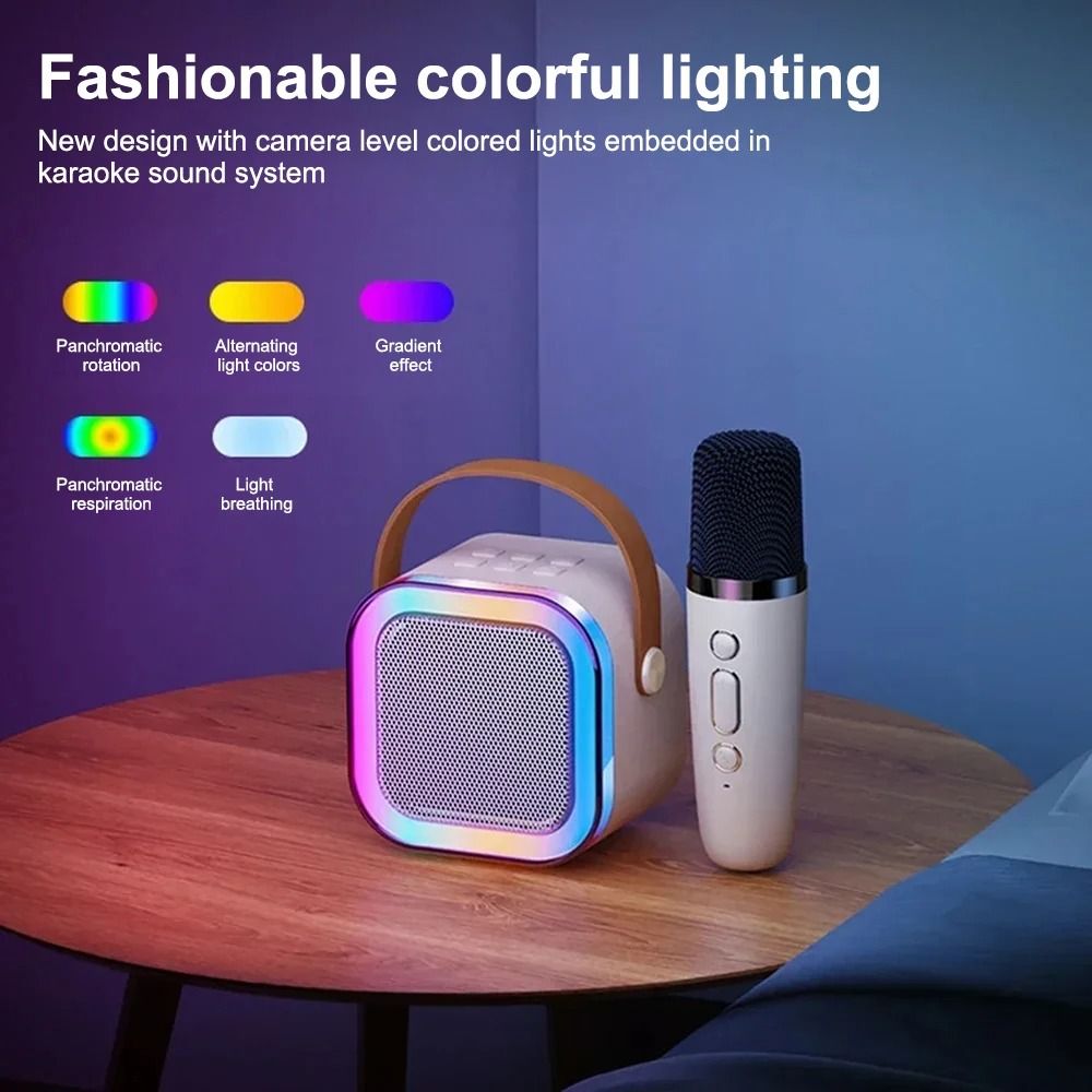Professional Karaoke Bluetooth Speaker with Wireless Microphone