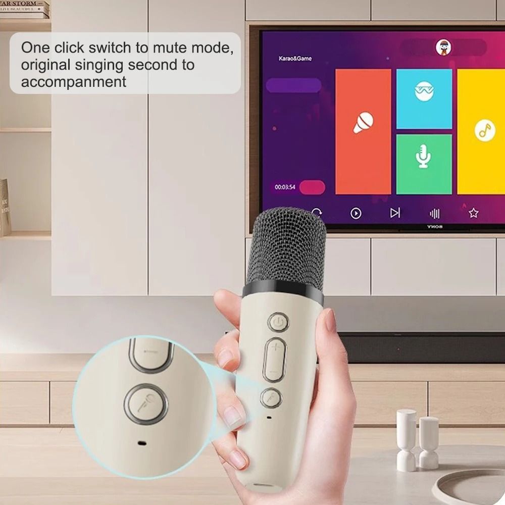 Professional Karaoke Bluetooth Speaker With Wireless Microphone 4