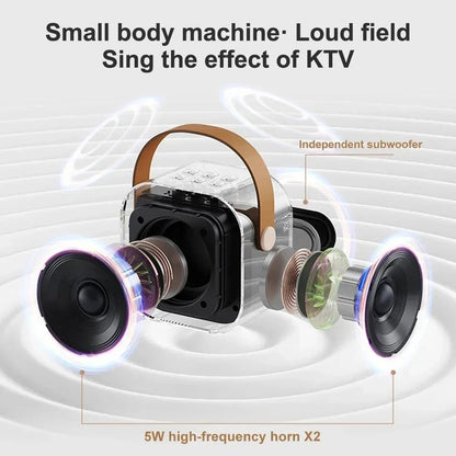 Professional Karaoke Bluetooth Speaker With Wireless Microphone 6