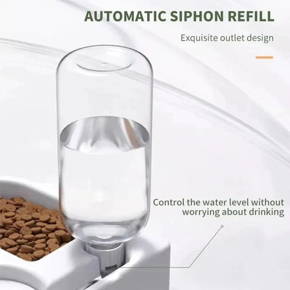Automatic Pet Water And Food Bowl  87 Inch Compact Dual Feeder For Cats And Small Dogs 2