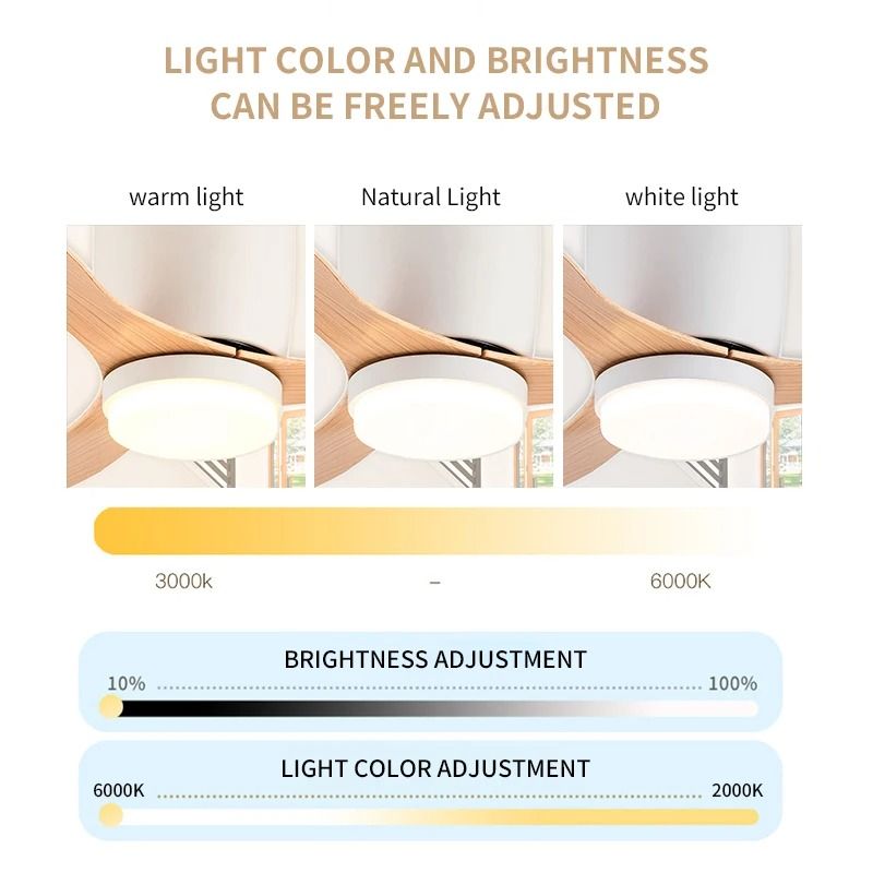 Modern LED Ceiling Fan With 6 Speed Settings And Light Strip 6