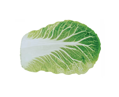 Cozy Cabbage Flannel Throw Blanket Cute Sofa Blanket For Home 1