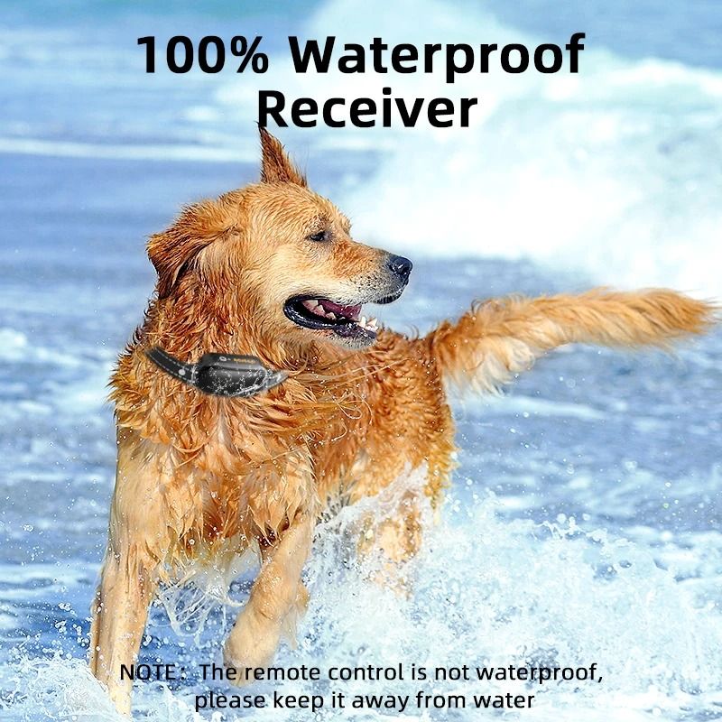 Rechargeable Waterproof Dog Training Collar With Remote Vibration And Shock Modes For Bark Control 2