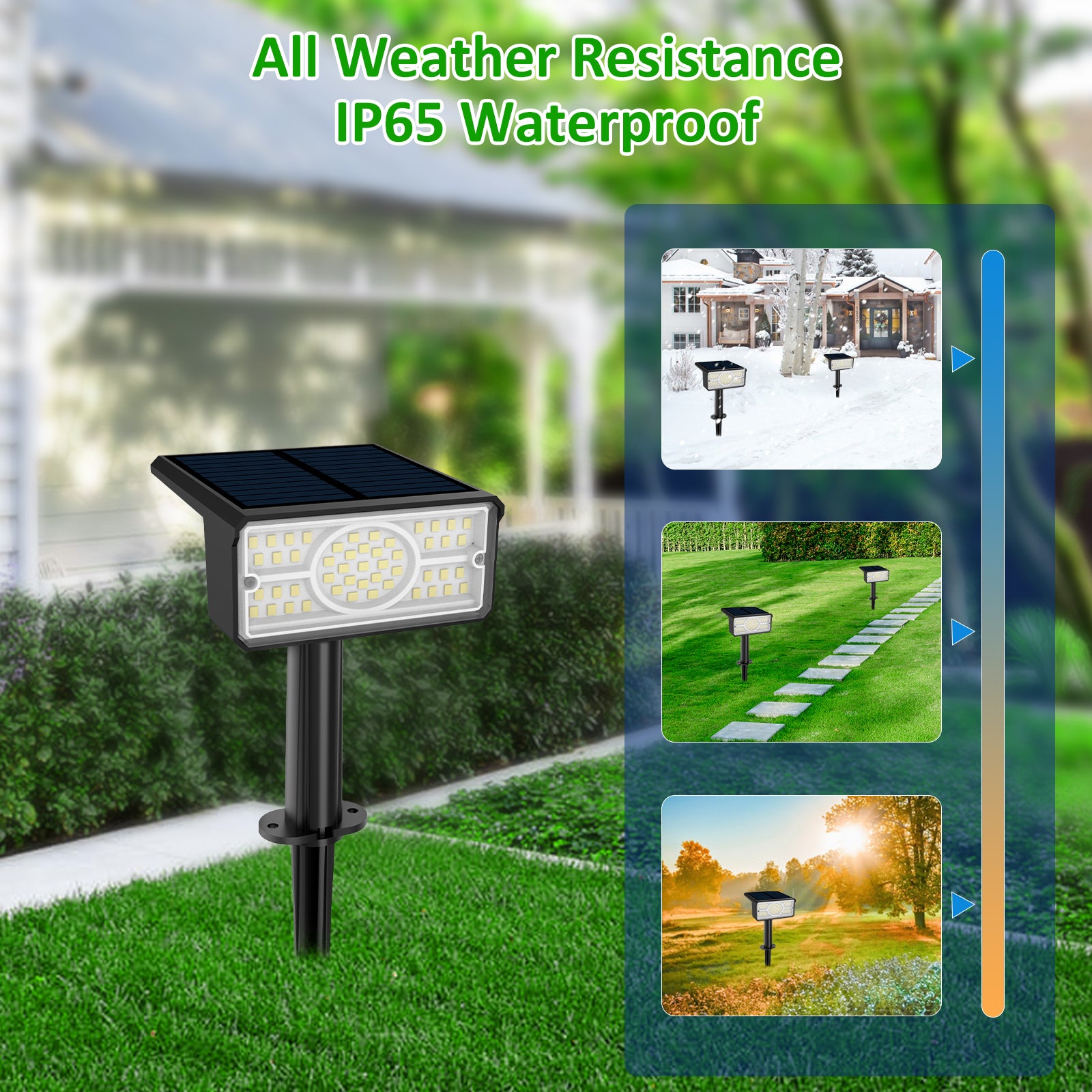 Solar Power Light Outdoor, IP65 Solar Lamp, Green Blue Solar Garden Spotlight Wall Light
