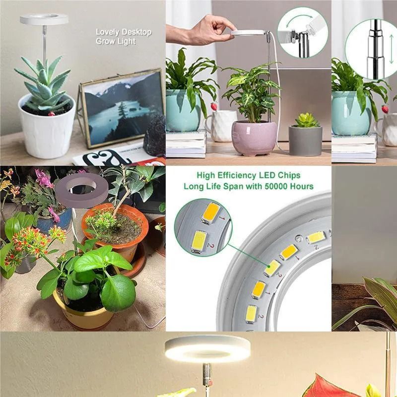 LED Grow Light For Indoor Plants With Adjustable Brightness And Timer 5