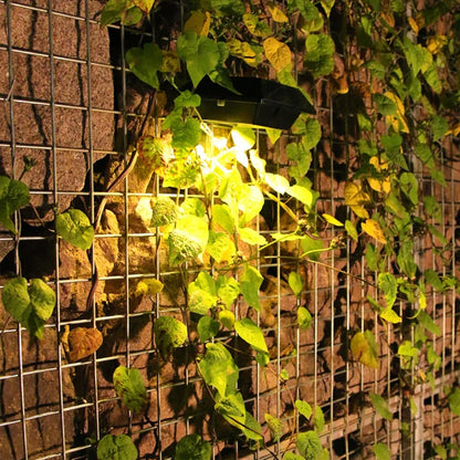 LED Solar Street Security Flood Light Outdoor, Waterproof 12 LEDs, Auto On Off Dusk to Dawn, for Patio Yard Door Lightin
