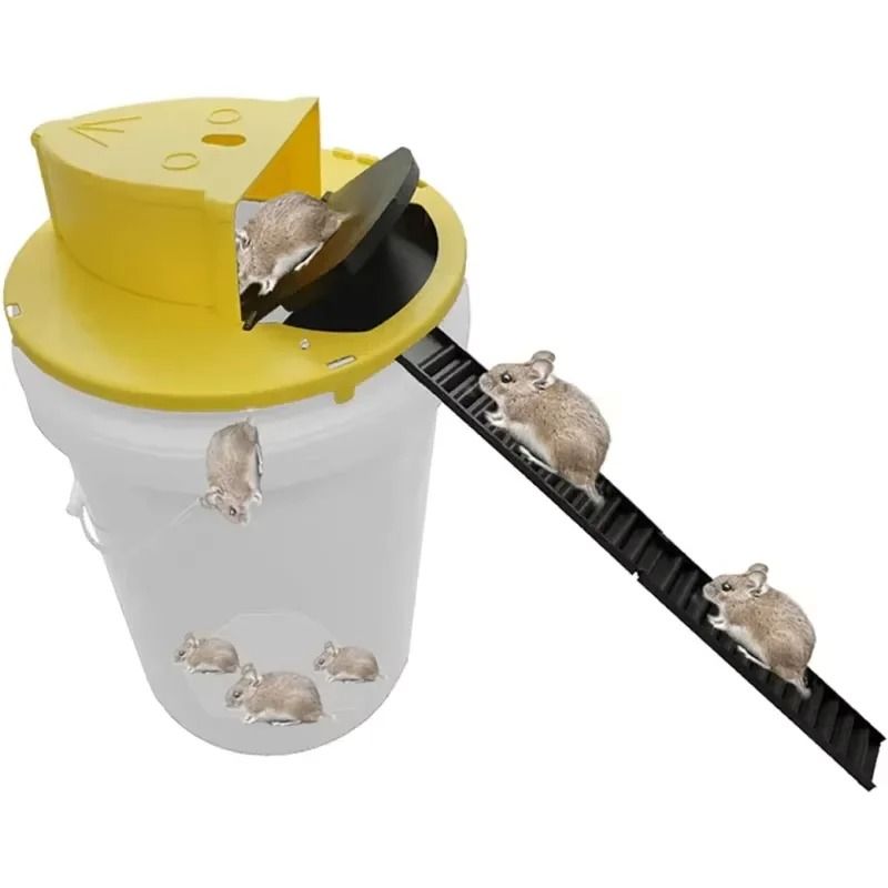 Automatic Smart Bucket Mouse Trap with Flipping Lid and Reset Function