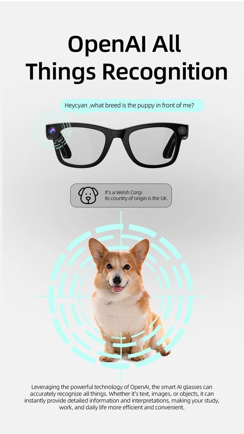 Smart AI Glasses With Camera Translation And Voice Control 2
