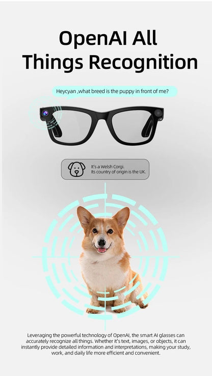 Smart AI Glasses With Camera Translation And Voice Control 2