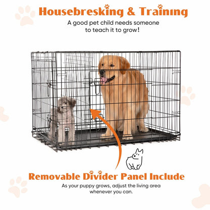 Double Door Folding Metal Dog Cage With LeakProof Tray For Indoor And Outdoor Use 3