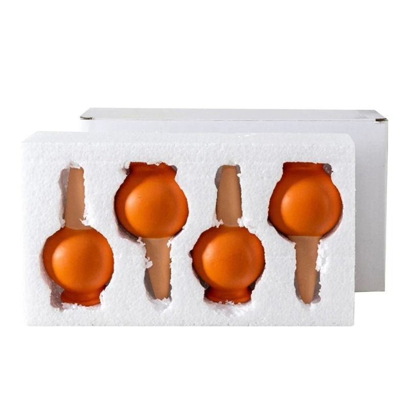Small Wine Bottle Automatic Plant Dripper Set For Indoor And Outdoor Gardening 4